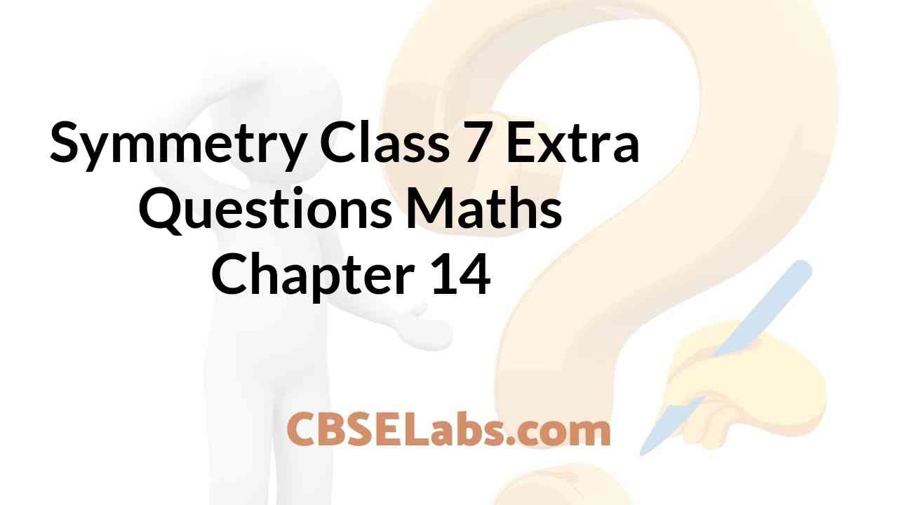 class 7 maths chapter 12 symmetry extra questions