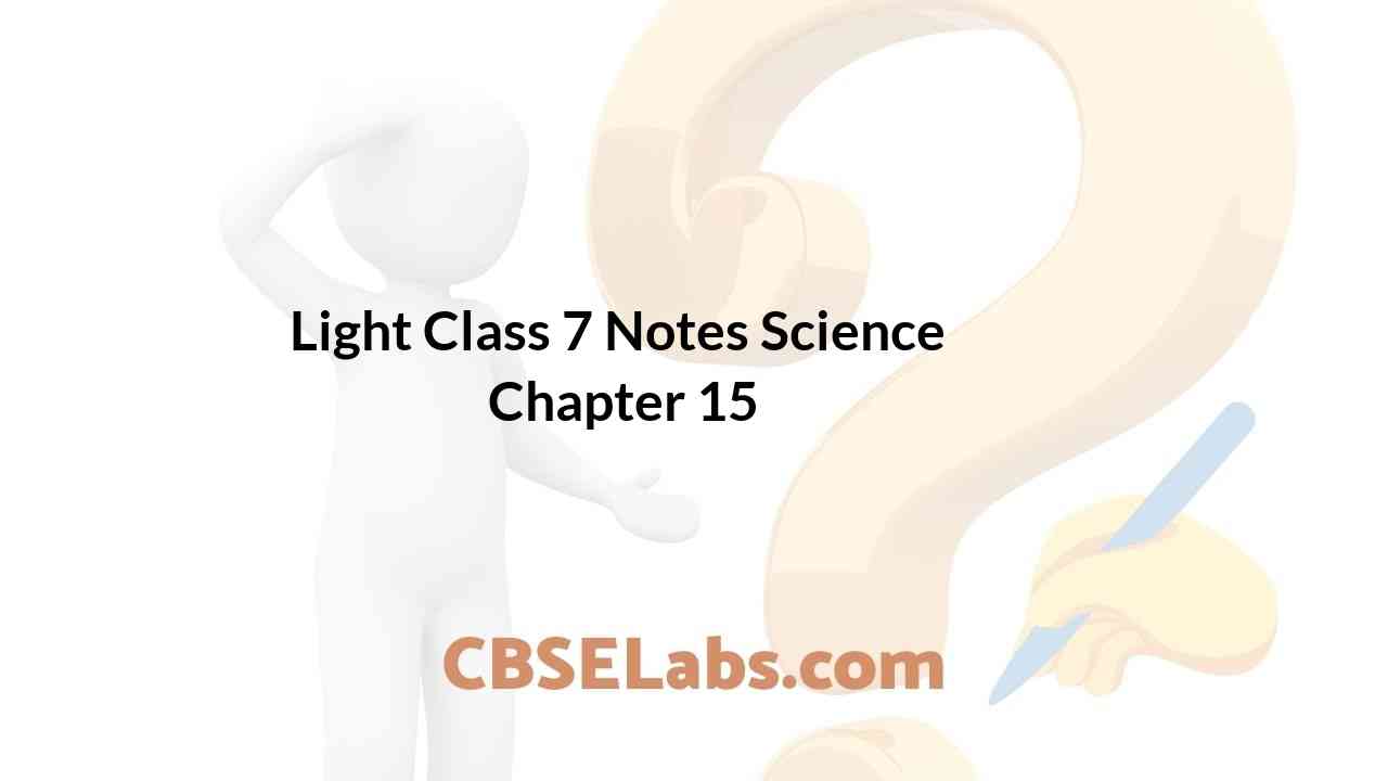 the path of the light is class 7