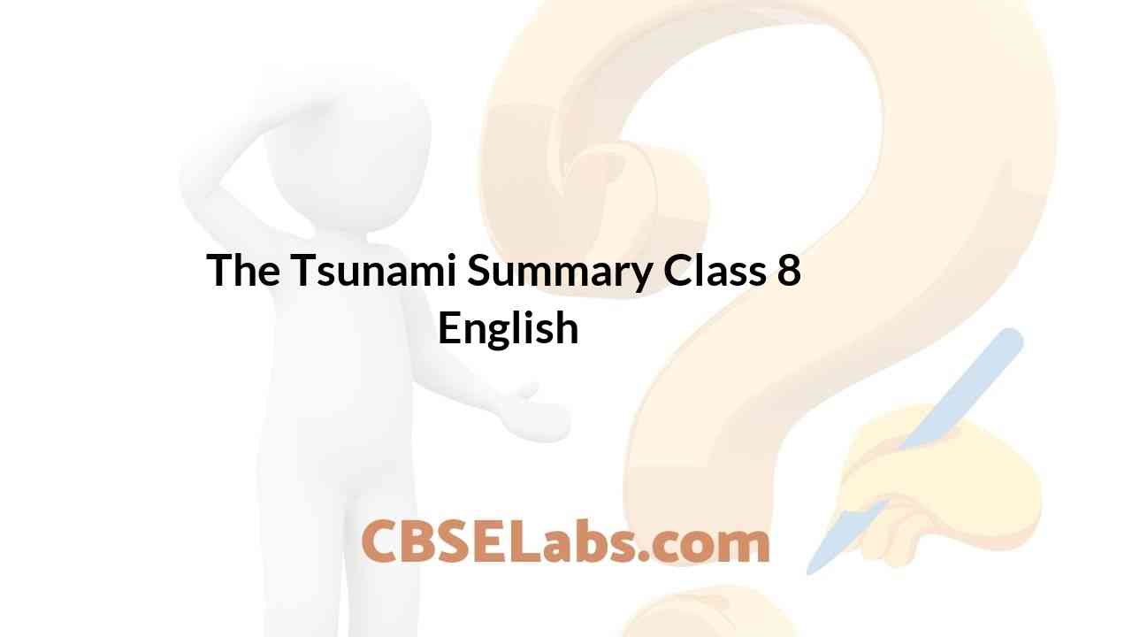 Tsunami 8th cbse summary