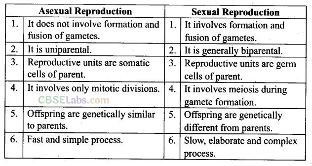 NCERT Exemplar Class 12 Biology Chapter 1 Reproduction in Organisms ...